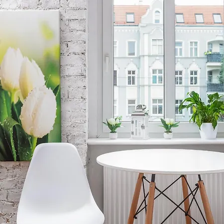 Tulip - Studio Nr 6 - Smialego 7 M 3 *